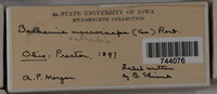 Image Associated With the Occurence